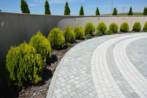 Best Local Driveway Pavers  in Aldan, PA